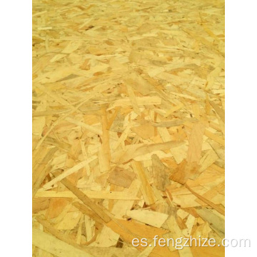 Panel de madera OSB para edificios